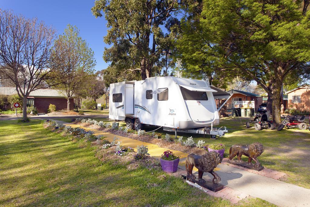 Armidale Tourist Park Ξενοδοχείο Εξωτερικό φωτογραφία