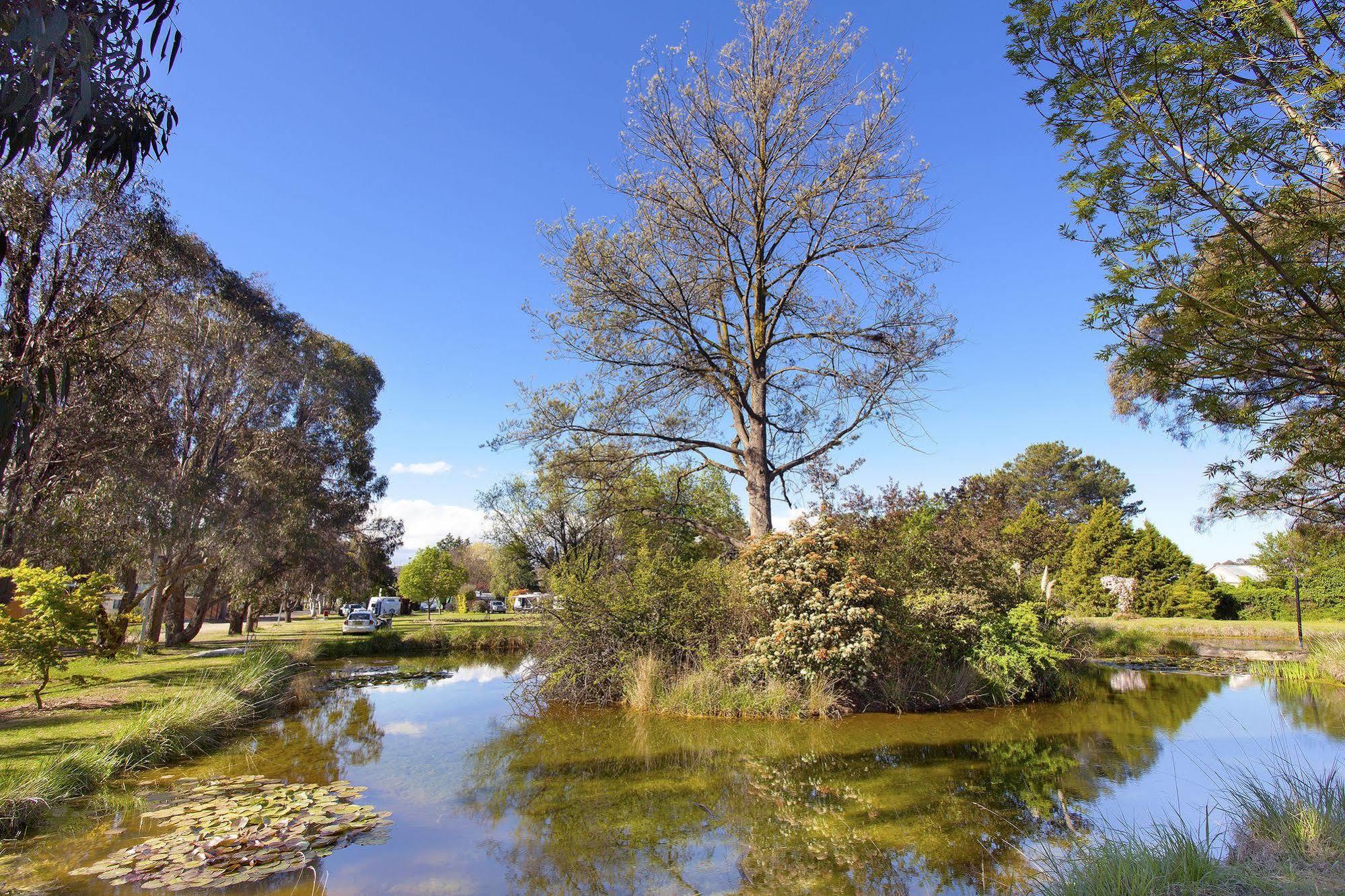 Armidale Tourist Park Ξενοδοχείο Εξωτερικό φωτογραφία